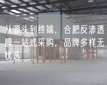 从源头到终端，合肥反渗透膜一站式采购，品牌多样无忧选(图1)