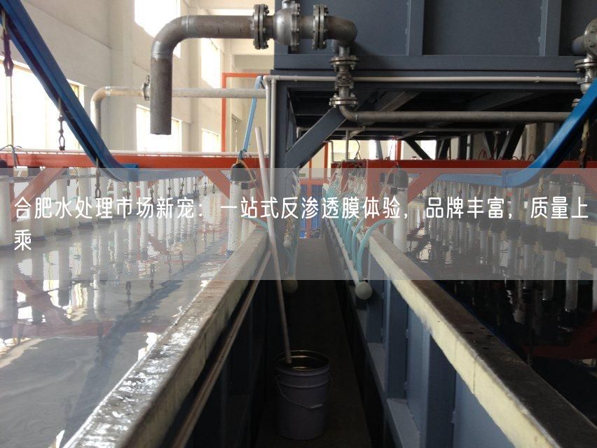 合肥水处理市场新宠：一站式反渗透膜体验，品牌丰富，质量上乘(图1)