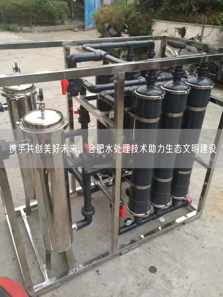 携手共创美好未来，合肥水处理技术助力生态文明建设(图1)